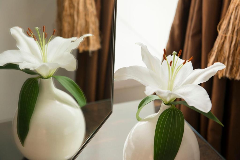 The Grange Bed & Breakfast Сейнт Остел Екстериор снимка
